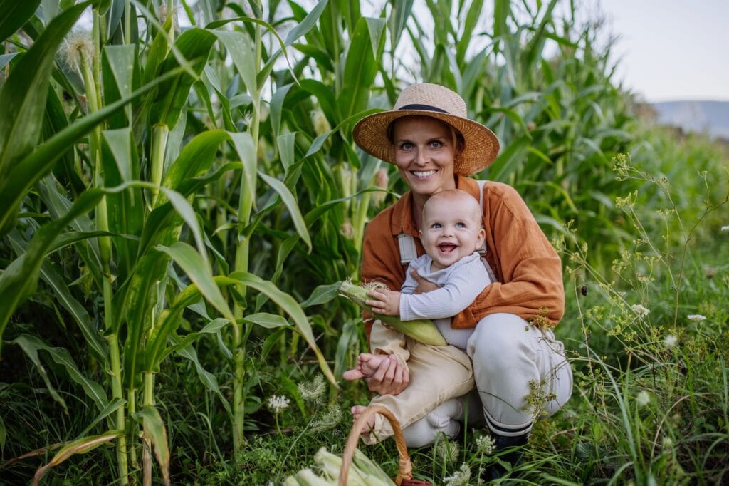 Portrait of female farmer with beautiful baby harvesting corn on the field.